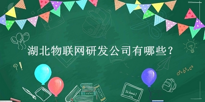 湖北物聯(lián)網研發(fā)公司